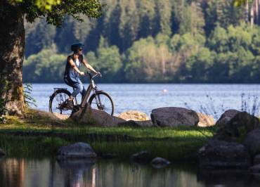 Location vélo, vente, réparation et séjours VTT - Cycles AMC7