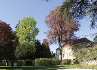 Chambre d'hôtes Villa des Contamines à Crémieu - Balcons du Dauphiné