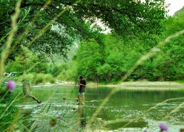 Chasteuil Verdon Provence