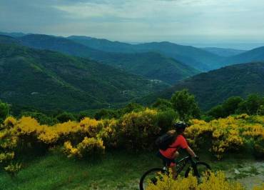 Descente VTT