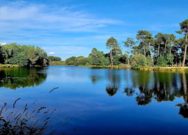 Camping des Forges