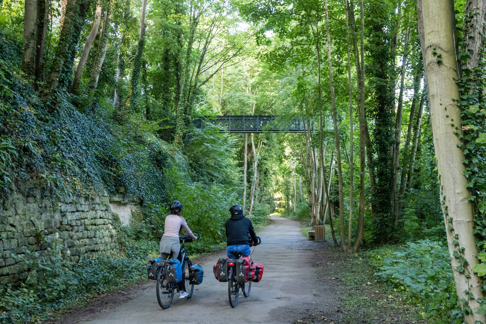 Voie verte de la forêt d'Halatte - Pont-Sainte-Maxence | Ver ...