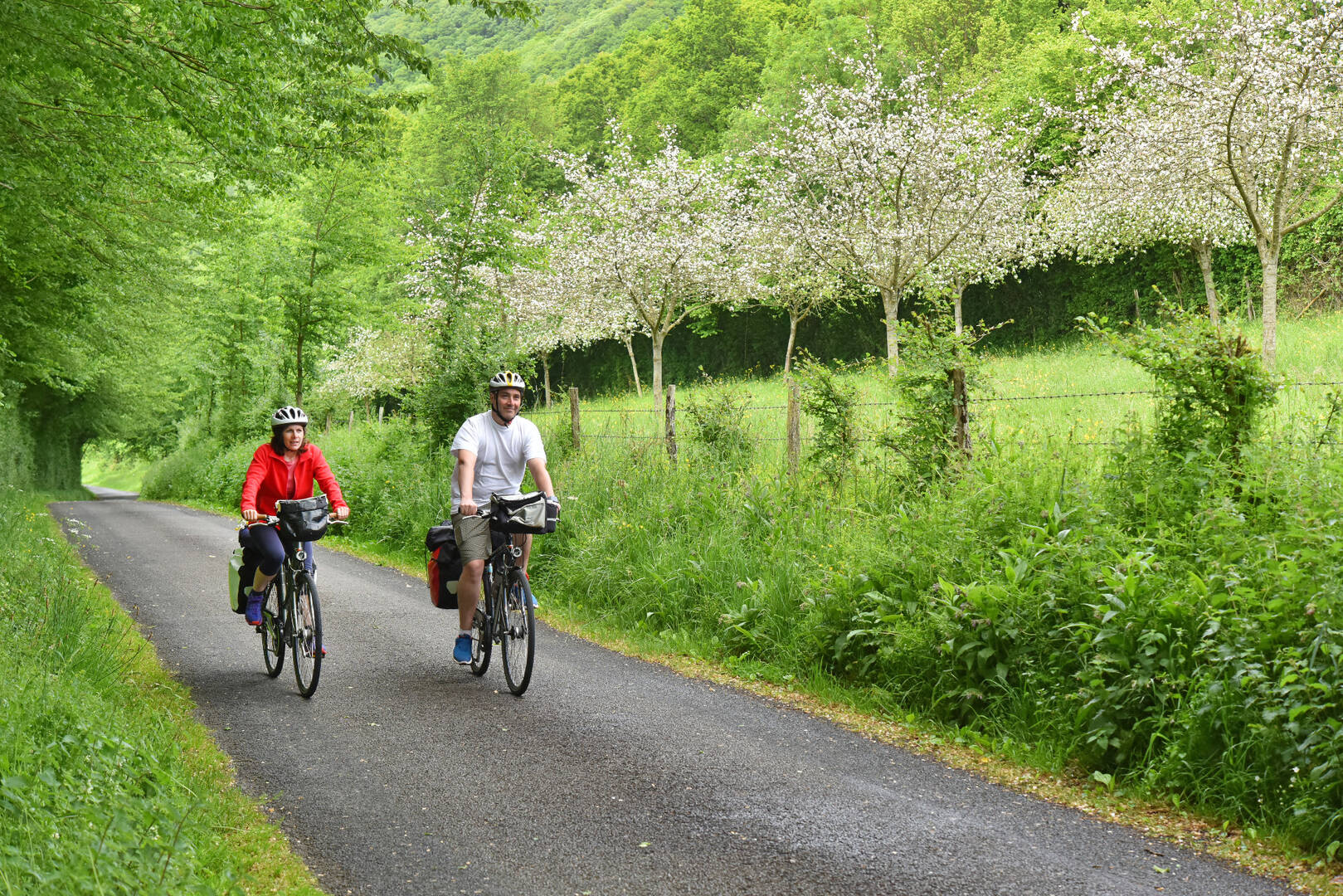 Velo discount francette parcours