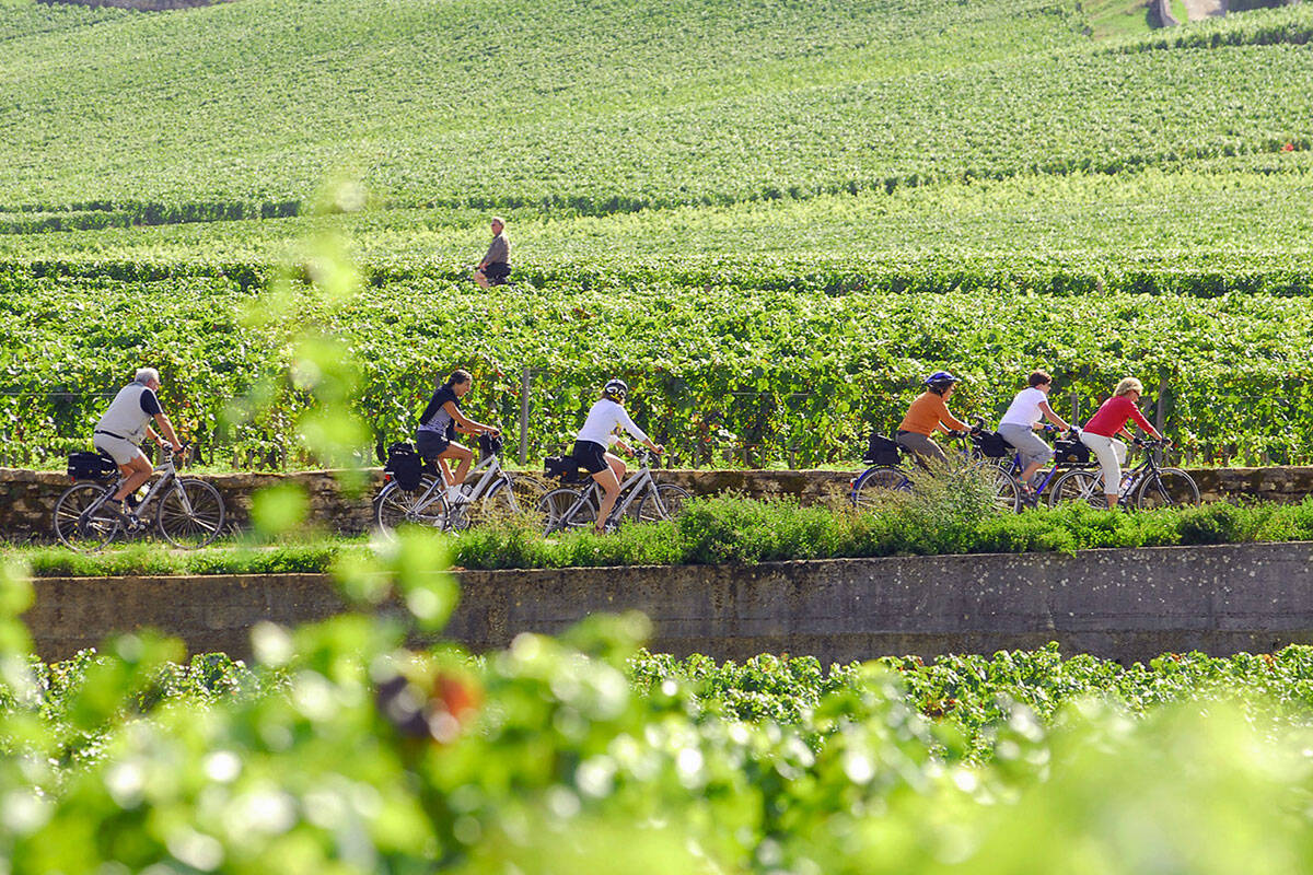 Ter bourgogne 2024 velo