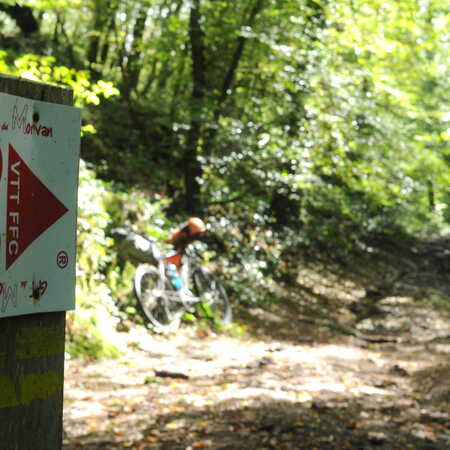 Tour du 2024 morvan vtt