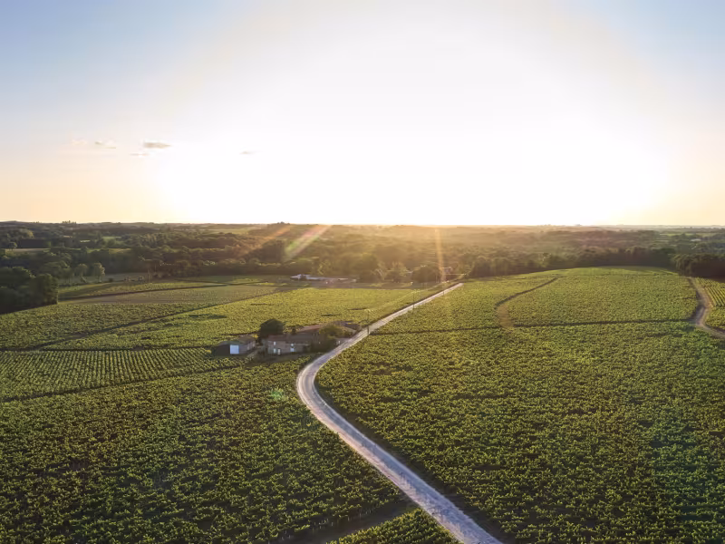 Route du Vignoble Nantais à vélo