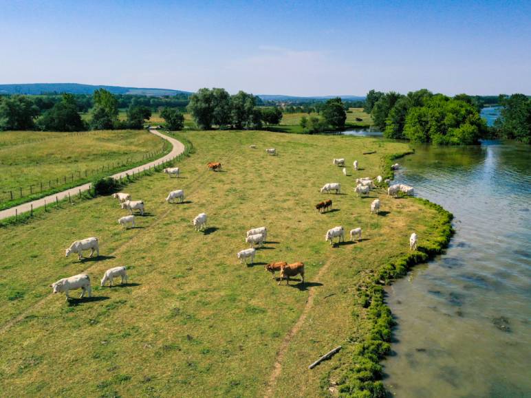 Les Plaines du Val-de-Saône à vélo